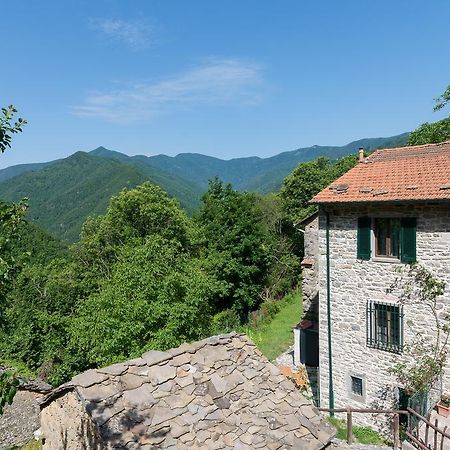 La Casa Nel Bosco-Senza Auto Guest House Ponte della Venturina Exterior photo