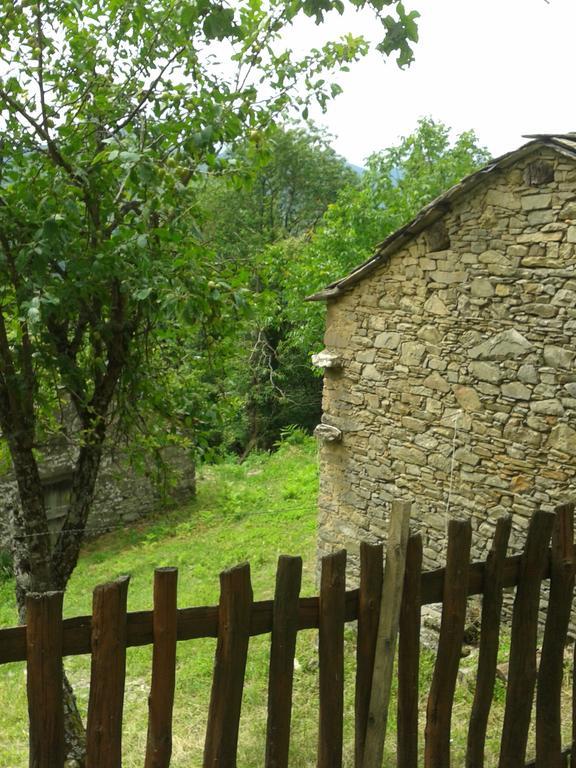 La Casa Nel Bosco-Senza Auto Guest House Ponte della Venturina Room photo