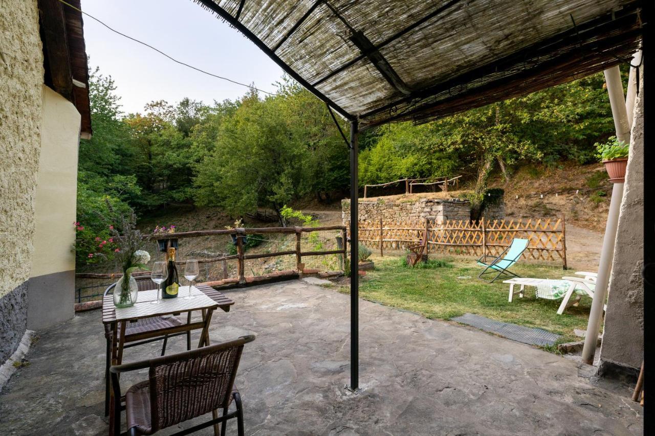 La Casa Nel Bosco-Senza Auto Guest House Ponte della Venturina Exterior photo