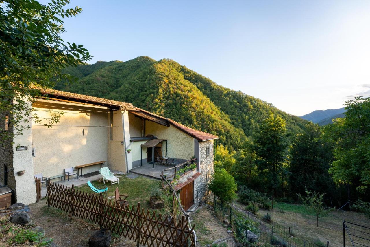 La Casa Nel Bosco-Senza Auto Guest House Ponte della Venturina Exterior photo