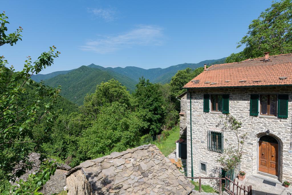 La Casa Nel Bosco-Senza Auto Guest House Ponte della Venturina Exterior photo