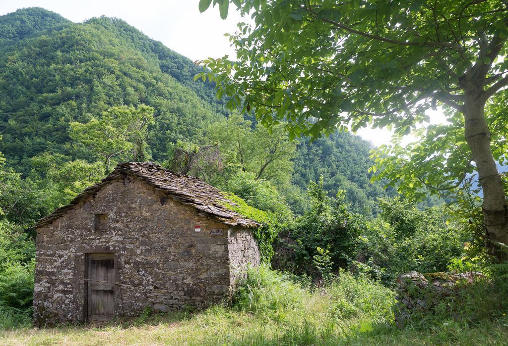 La Casa Nel Bosco-Senza Auto Guest House Ponte della Venturina Exterior photo