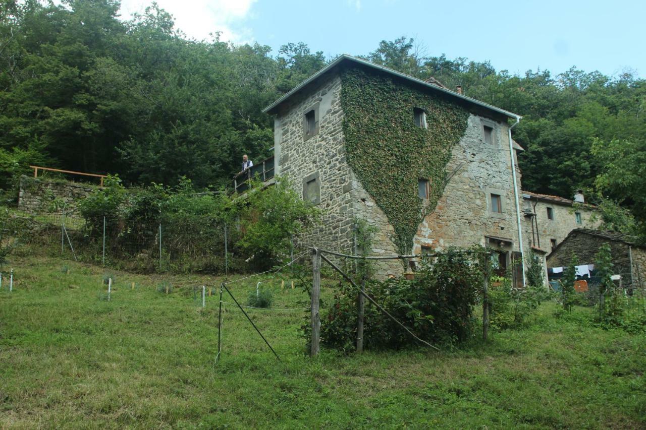 La Casa Nel Bosco-Senza Auto Guest House Ponte della Venturina Exterior photo
