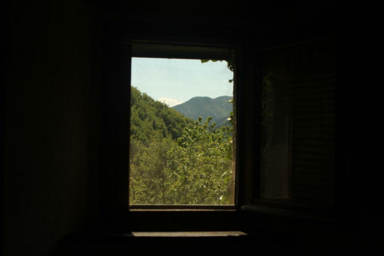 La Casa Nel Bosco-Senza Auto Guest House Ponte della Venturina Exterior photo